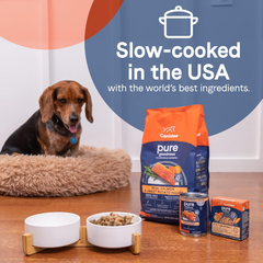 CANIDAE Pure Bone Broth Topper with Real Salmon & Rice Wet Dog Food 1ea