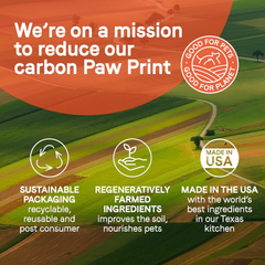 CANIDAE Pure Bone Broth Topper with Real Salmon & Rice Wet Dog Food 1ea