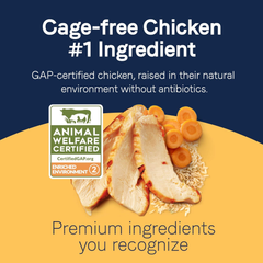 Canidae Pure Bone Broth Topper with Real Chicken & Rice Wet Dog Food