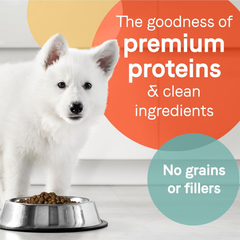 Canidae Pure Grain Free Dry Puppy Food, Real Salmon & Sweet Potato