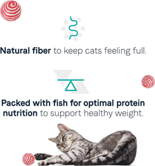 Canidae Goodness for Indoor Cats, Premium Adult Dry Cat Food with Real Whitefish