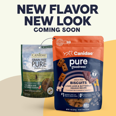 CANIDAE Pure Dog Treat Biscuits with Lamb Liver & Butternut Squash, Grain Free