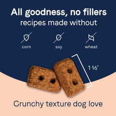 CANIDAE Pure Dog Treat Biscuits with Lamb Liver & Butternut Squash, Grain Free