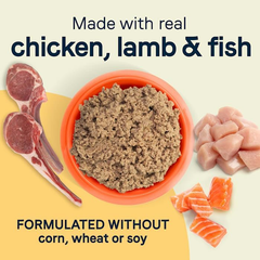 CANIDAE All Life Stages Less Active Wet Dog Food, Chicken, Lamb and Fish, 13oz