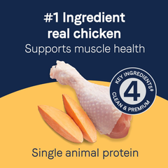 CANIDAE Pure Dog Jerky Treats, Chicken with Sweet Potato, Grain Free