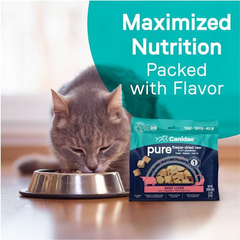 CANIDAE DBLQM Children's Sweaters Around Ghost Slayer Blade. Boy Girl Cat Ear Hoodie Pullover