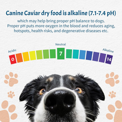 Canine Caviar - Special Needs: Chicken & Brown Rice Alkaline Dry Dog Food, Limited Ingredients, Gluten-Free, Based on Science & Research, Veterinary Alternative Diet