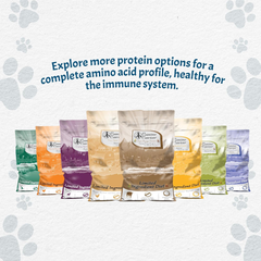 Canine Caviar - Special Needs: Chicken & Brown Rice Alkaline Dry Dog Food, Limited Ingredients, Gluten-Free, Based on Science & Research, Veterinary Alternative Diet