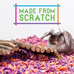 carefresh Dust-Free Beach Party Natural Paper Small Pet Bedding with Odor Control