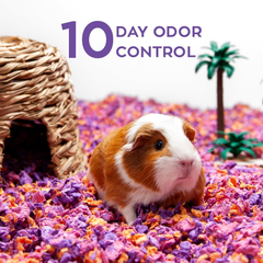 carefresh Dust-Free Beach Party Natural Paper Small Pet Bedding with Odor Control