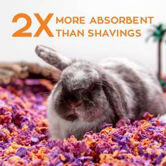 carefresh Dust-Free Beach Party Natural Paper Small Pet Bedding with Odor Control