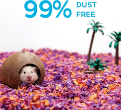 carefresh Dust-Free Beach Party Natural Paper Small Pet Bedding with Odor Control