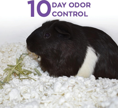 carefresh 99% Dust-Free White Natural Paper Small Pet Bedding with Odor Control