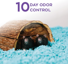 carefresh 99% Dust-Free Blue Natural Paper Small Pet Bedding with Odor Control