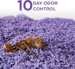 carefresh 99% Dust-Free Purple Natural Paper Small Pet Bedding with Odor Control