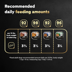 CESAR HOME DELIGHTS Wet Dog Food Pot Roast & Vegetable, Beef Stew, Turkey Potato & Green Bean, and Hearth Chicken & Noodle Variety Pack Easy Peel Trays