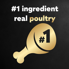 CESAR Adult Wet Dog Food Classic Loaf in Sauce Poultry Variety Pack,. Easy Peel Trays with Real Chicken, Turkey or Duck