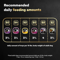 CESAR Adult Soft Wet Dog Food Steak Lovers Variety Pack with Real Meat, (36) 3.5 oz. Trays