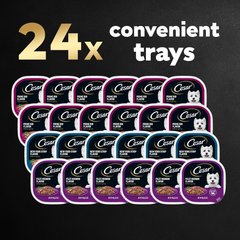 CESAR Adult Soft Wet Dog Food Filets in Gravy Variety Pack, Filet Mignon, New York Strip and Prime Rib Flavors