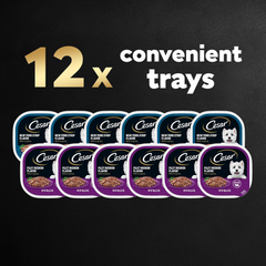 CESAR Filets in Gravy Adult Wet Dog Food, Filet Mignon and New York Strip Flavors Variety Pack