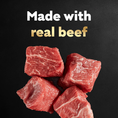 CESAR Filets in Gravy Adult Wet Dog Food, Filet Mignon and New York Strip Flavors Variety Pack