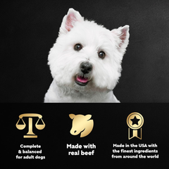 CESAR Filets in Gravy Adult Wet Dog Food, Filet Mignon and New York Strip Flavors Variety Pack