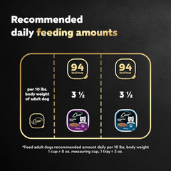 CESAR Filets in Gravy Adult Wet Dog Food, Filet Mignon and New York Strip Flavors Variety Pack