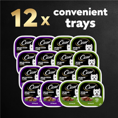 CESAR Wet Dog Food Classic Loaf in Sauce Top Sirloin & Grilled Chicken Flavors Variety Pack, Easy Peel Trays