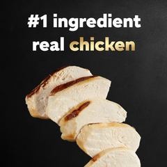 CESAR Adult Soft Wet Dog Food Classic Loaf in Sauce, Grilled Chicken Flavor