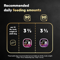 Cesar CLASSICS Variety Pack Filet Mignon Flavor & Porterhouse Steak Flavor Dog Food