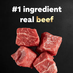 CESAR Adult Soft Wet Dog Food Loaf in Sauce Beef Recipe