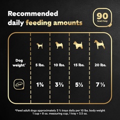 CESAR Adult Soft Wet Dog Food Loaf in Sauce Beef Recipe