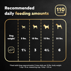 CESAR Adult Soft Wet Dog Food Classic Loaf in Sauce, Lamb Recipe