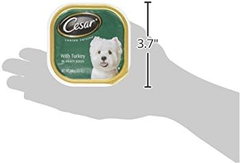 CESAR Adult Soft Wet Dog Food Classic Loaf in Sauce, Turkey Recipe