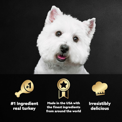 CESAR Adult Soft Wet Dog Food Classic Loaf in Sauce, Turkey Recipe