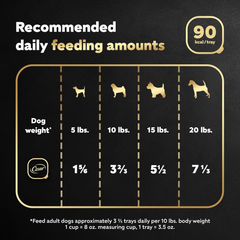 CESAR Adult Soft Wet Dog Food Classic Loaf in Sauce, Turkey Recipe