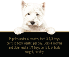Cesar Pet Food Select for Puppies