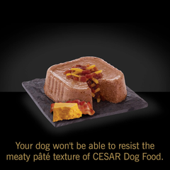 Cesar Pet Food Select for Puppies