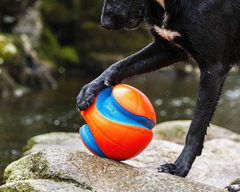 Chuckit! Kick Fetch Ball Large