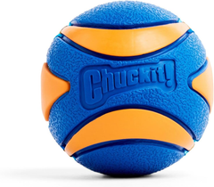 Chuckit! Ultra Squeaker Ball Dog Toy
