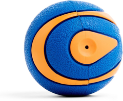 Chuckit! Ultra Squeaker Ball Dog Toy