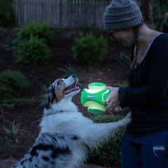 Chuckit! Kick Fetch Max Glow Ball, Glow in the Dark Dog Toy