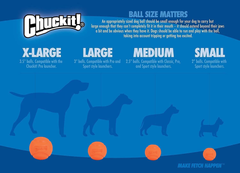Chuckit! High-Bounce Rubber Fetch Ball
