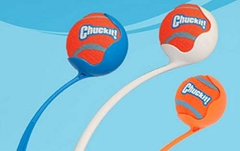 Chuckit! Dog Tennis Ball Dog Toy
