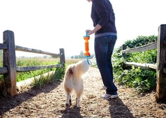 Chuckit! Rugged Bumper Dog Toy - Durable Fetch Stick with TPR Ridges for Easy Grip - Tug-of-War Toy for Medium and Large Dogs - Floats in Water