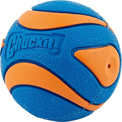 Chuckit! Ultra Squeaker Ball Dog Toy