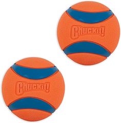 Chuckit! Ultra Balls - 2" Diameter