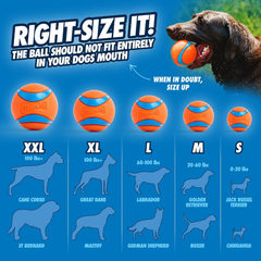 Chuckit! Dog Ball Launcher - Sport, Dog Fetch Ball Thrower, For Dogs 20-60 Pounds, Made in USA