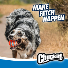 Chuckit! Dog Ball Launcher - Sport, Dog Fetch Ball Thrower, For Dogs 20-60 Pounds, Made in USA