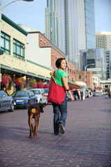 Chuckit! Classic Ball Launcher